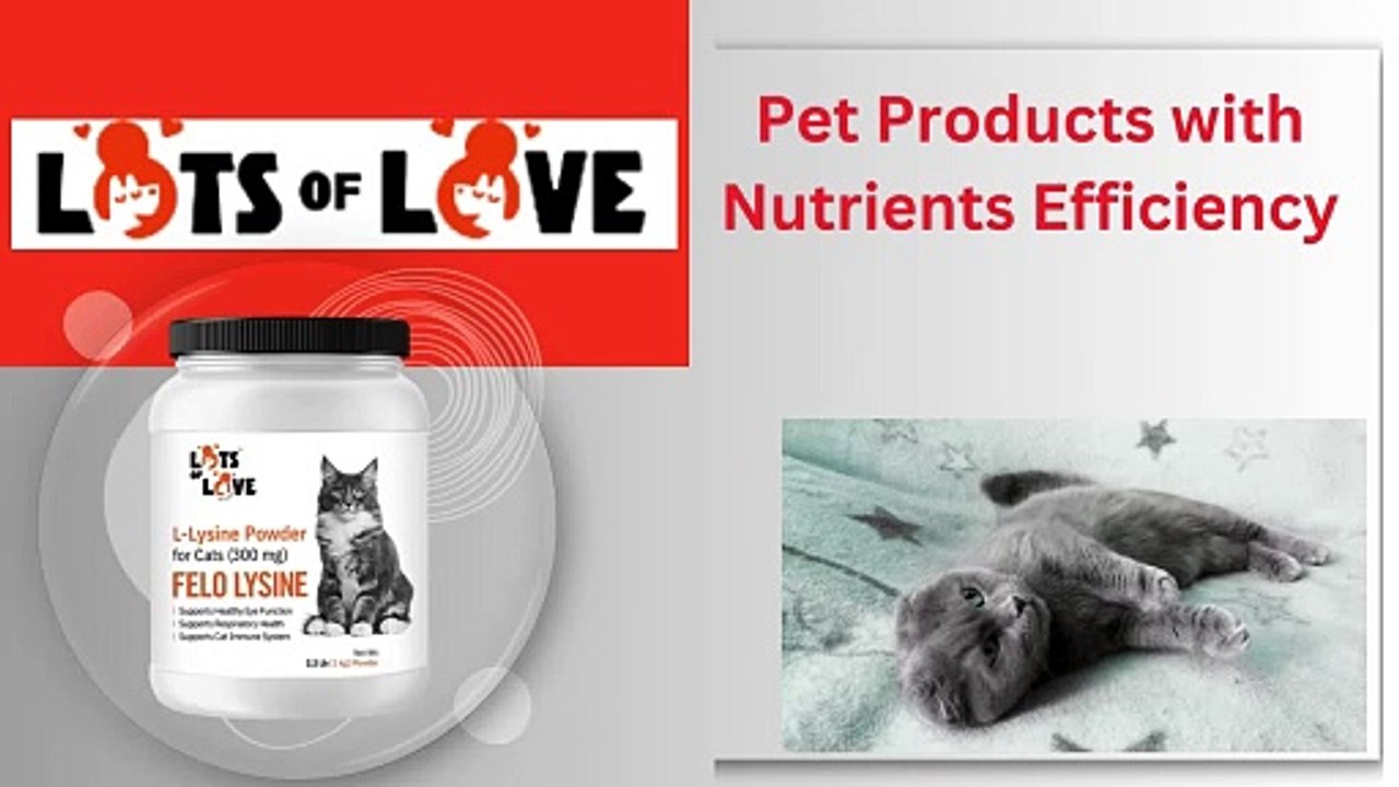 Supplements Necessary for Pets - Lots of Love Pet Products