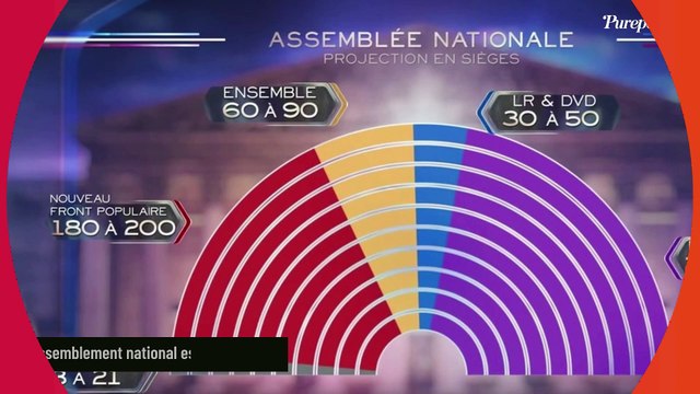 Gilles Bouleau recadre Jordan Bardella, le ton monte en direct sur TF1