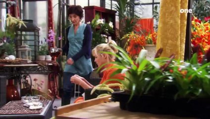 Rote Rosen Folge 1164 🎭