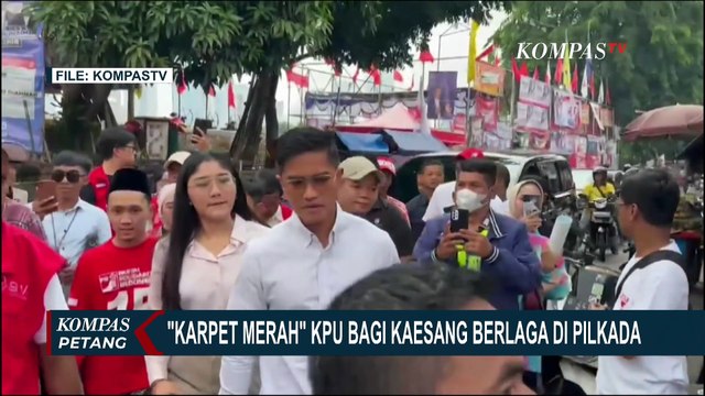 Putusan MA Batas Usia Kepala Daerah, Bivitri: Pola Ubah Aturan Instan Seperti Pilpres