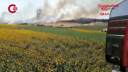 Çorlu'da tarım arazisinde yangın TOMA ile müdahale ediliyor