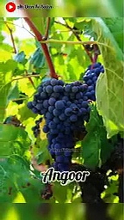 Islamik Status Tips for✍️ Muslim- Deen ki baten#islamik Tips#tips  #tips#deen #islamic