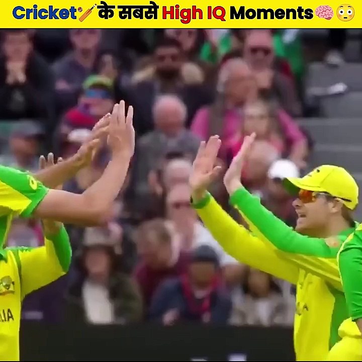 Cricket  High IQ Moments Shocked  High IQ Moments -_ _shorts _cricket(720P_HD)