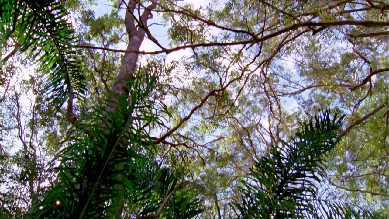 Lightning Point - 1x06 Coup de foudre