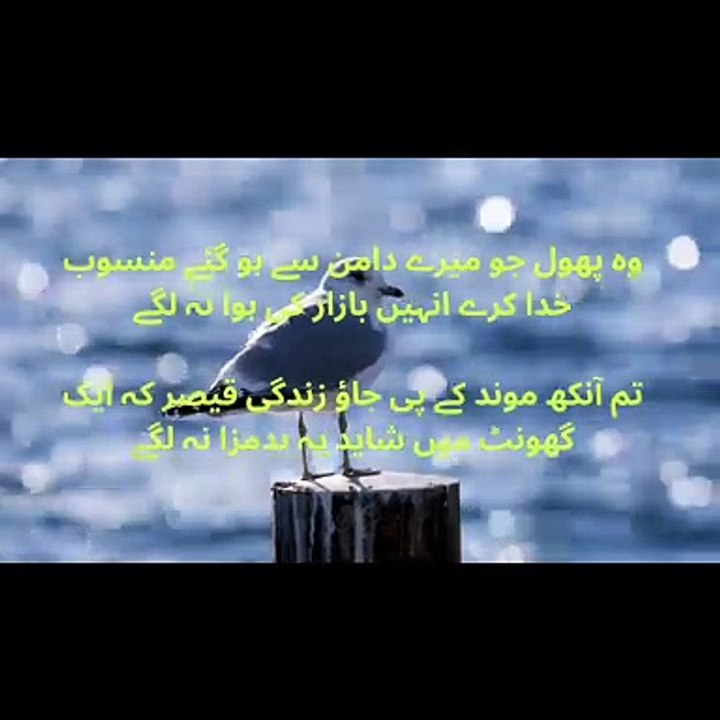 Urdu poetry/poetry/beautiful poetry