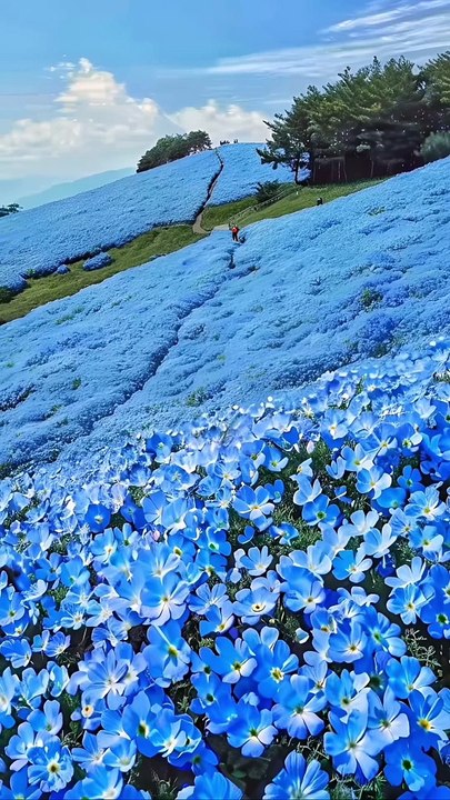 This is heaven   •••#sun #sunlight #sunlover #sunlightphotography #cloud #clouds #cloudlovers #cloudlovers #cloudstagram #cloudporn #cloudphotography #sky #skylover #skylovers #skyporn #skypainters #skypainting #skyphotography200d