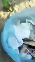 الكشف عن سحر وأعمال شعوذة على جبل عرفات