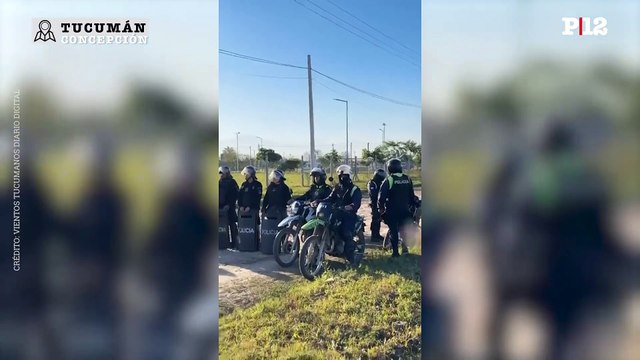 Tucumán: Una jauría de perros atacó y mató a un niño de 9 años en Concepción