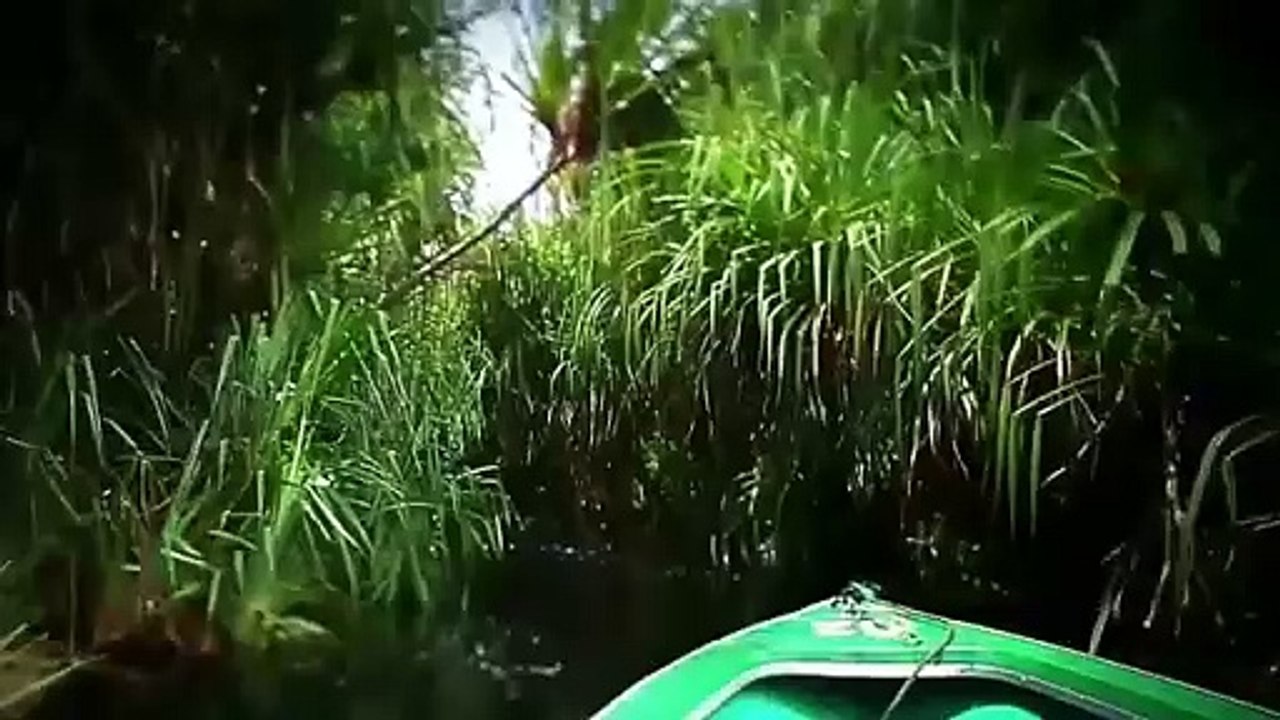 Indahnya Alam Indonesia With Lagu Tanah Airku (EDM x Gamelan)