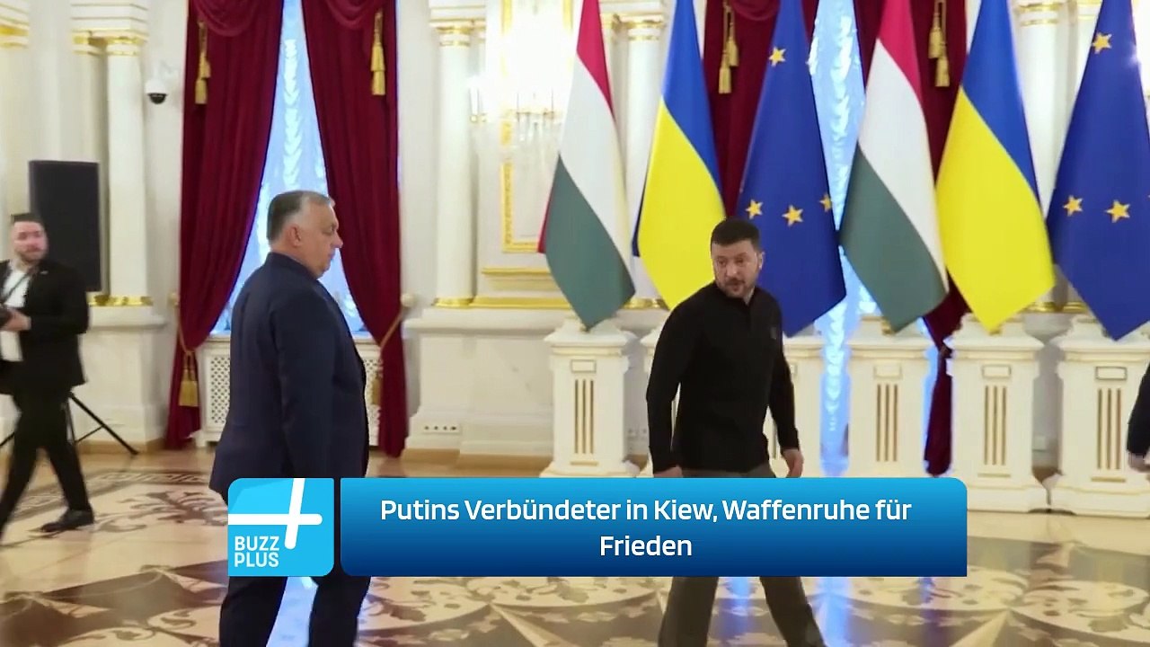Putins Verbündeter in Kiew, Waffenruhe für Frieden