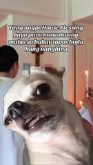 Bat mo kasi pinasapi yan nadamay kapa tuloy