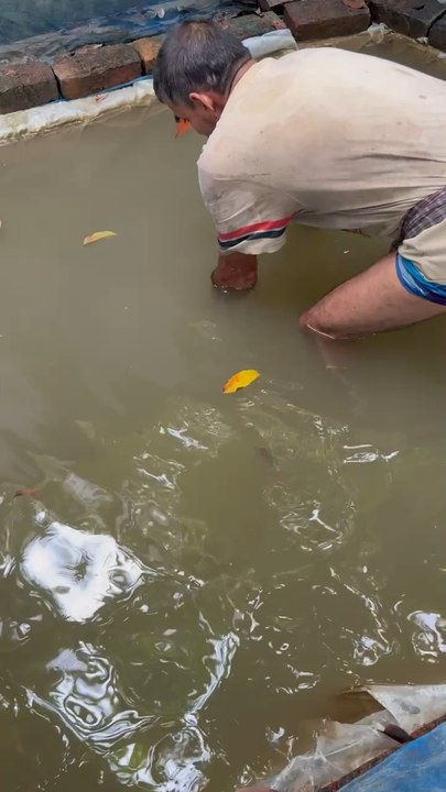 Have you ever tried this fishing method? #reels #fish #fishing #method