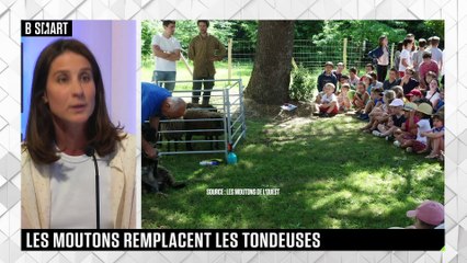 SMART IMPACT - Pour un écopâturage responsable