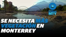 Vegetación, clave para evitar inundaciones en Monterrey | Reporte Indigo