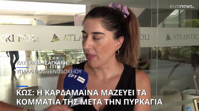 Ελλάδα - Κως: Μετά τη μεγάλη πυρκαγιά, η Καρδάμαινα προσπαθεί να μαζέψει τα κομμάτια της