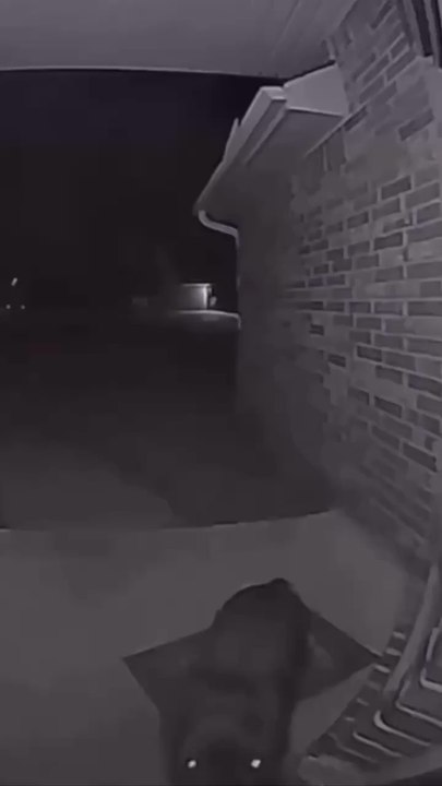 Do you see me?