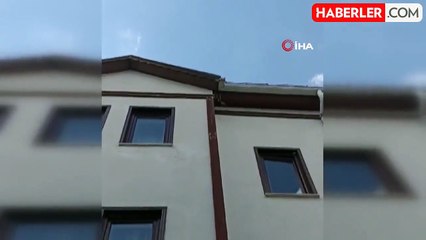 İpe dolanıp asılı kalan kırlangıcı itfaiye kurtardı