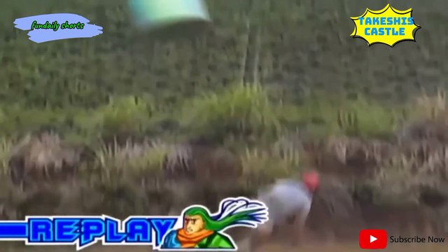 Takeshis Castle funny game show Ep Mushrooms tripa