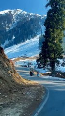 Laugh your way to happiness,laugh,smail,and enjoy,