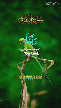 Ae mere Rab tu hamare gunah baksh de