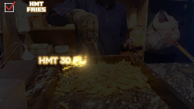 HMT 30 Flavours Fries