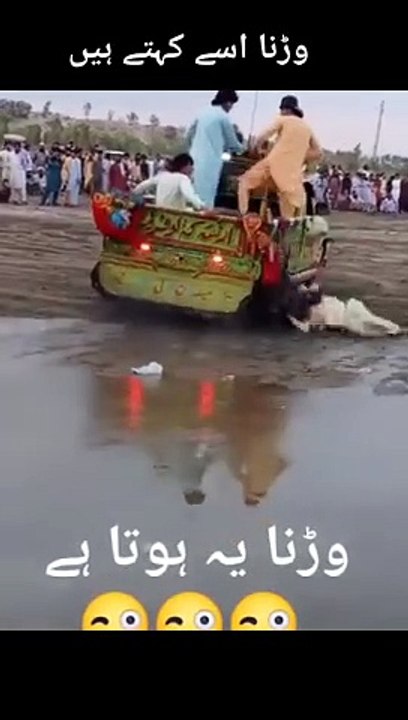 New Pakistani funny video