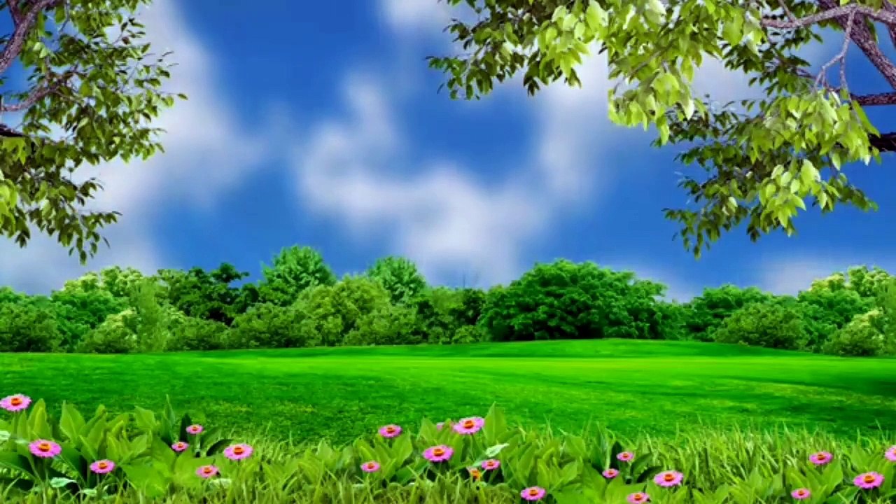 Islamic video .Islami video