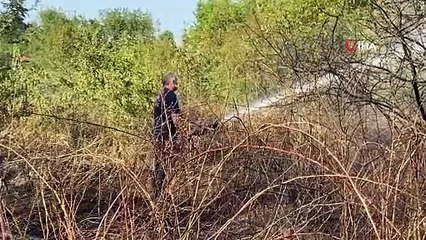 Kartepe’de ağaçlık alan yandı: 10 hektar küle döndü