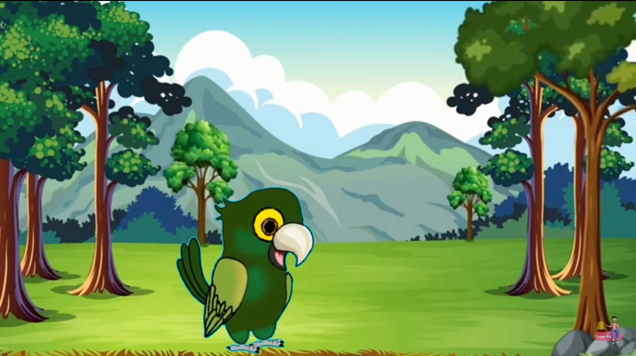 Islamic video _ islami video