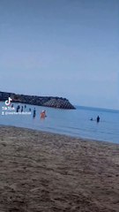 2024-05-31-162059756