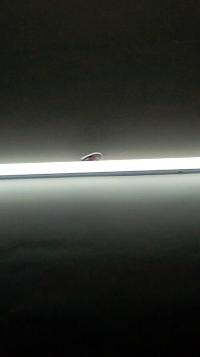 Light