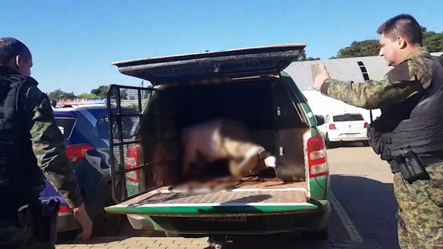 Homem que foi flagrado tirando fotos das partes íntimas de adolescente no Terminal Leste é levado à Delegacia