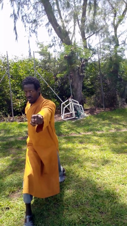 Enchaînement martial moine himmoris.