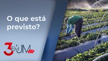 Plano Safra 2024/2025 deve ser anunciado nesta quarta-feira (03)