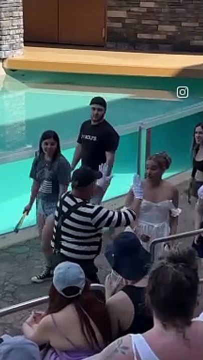 Funny video