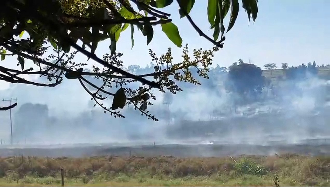 Incêndio ambiental em Lovat devastou cerca de 20 mil metros quadrados de vegetação