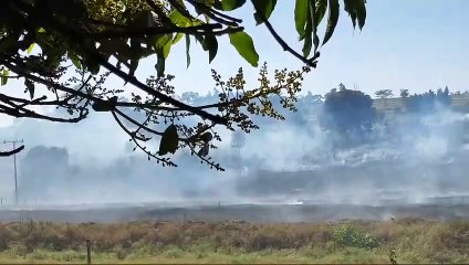 Incêndio ambiental em Lovat devastou cerca de 20 mil metros quadrados de vegetação