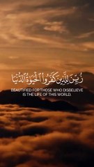 RECITE QURAN DAILY ||Islamic status