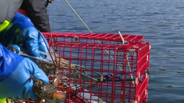 2 JUILLET TOPO FC homardiers