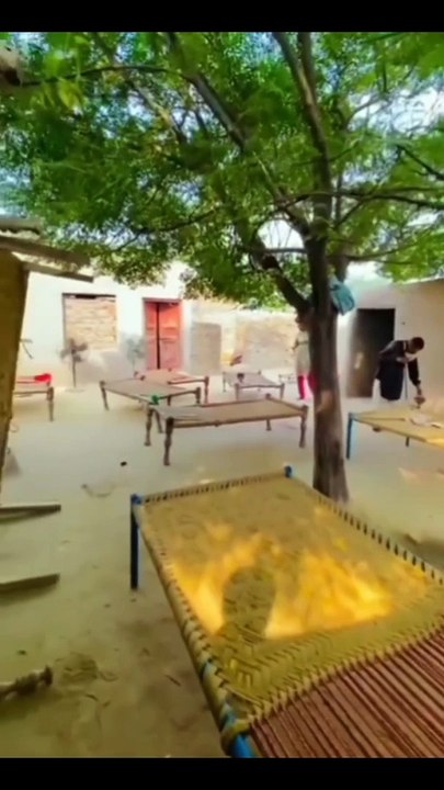 Punjab de rang
