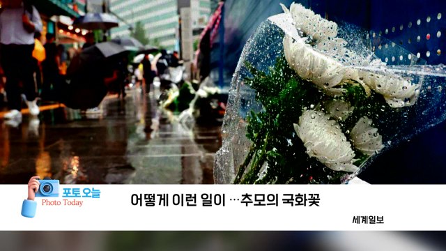 [포토오늘] 어떻게 이런 일이 ...추모의 국화꽃 / YTN