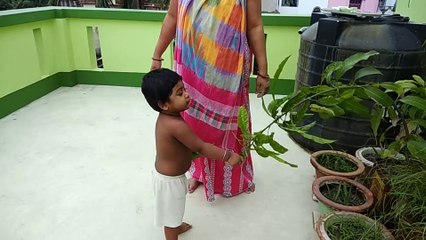 vonja part2 5 vdos(1)