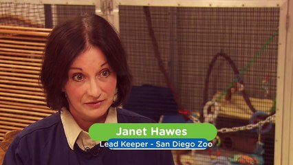 Six Bottle Feedings Each Day? This Newborn Langer Needs a Lot of Love