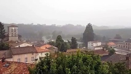 Lightning Strikes Tree – Epic Fail Moments You Can't Miss ⚡