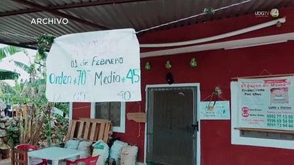 Ingenieros Civiles de Jalisco programan visita al Tren Maya