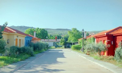 Curiosity Killed the Cat | movie | 2024 | Official Trailer