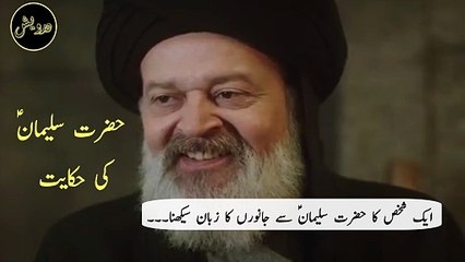 Hazrat Suliman AS ki Hikayat | حضرت سلیمان ؑ کی حکایت