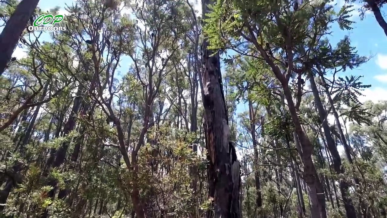 Helikon Tex Bergen 30 Kilometre _ 18.64 mile Bushwalk