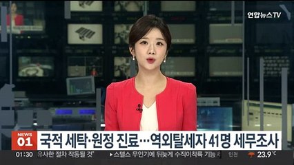 국적 세탁·원정 진료…역외탈세자 41명 세무조사