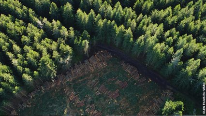 L'écologie près de chez nous
